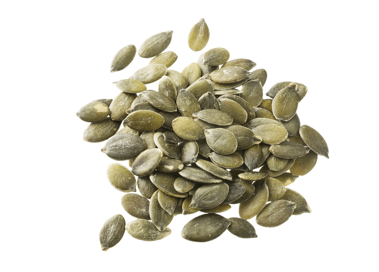 Seed PNG HD Photos