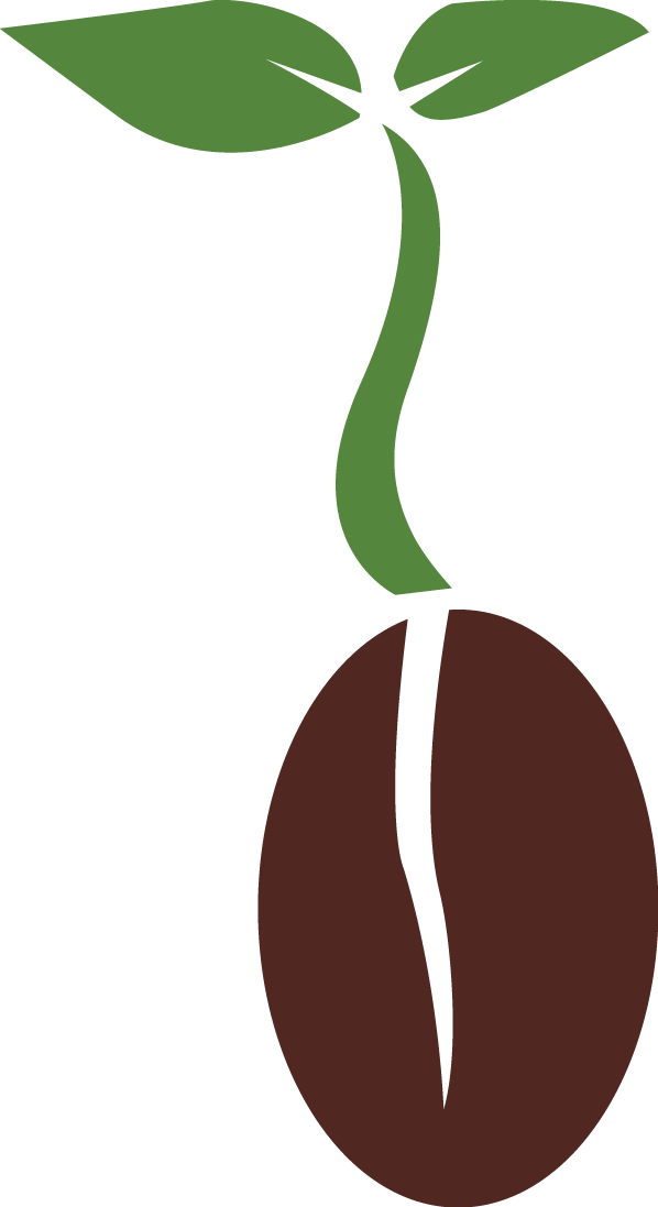 Seed PNG Photos