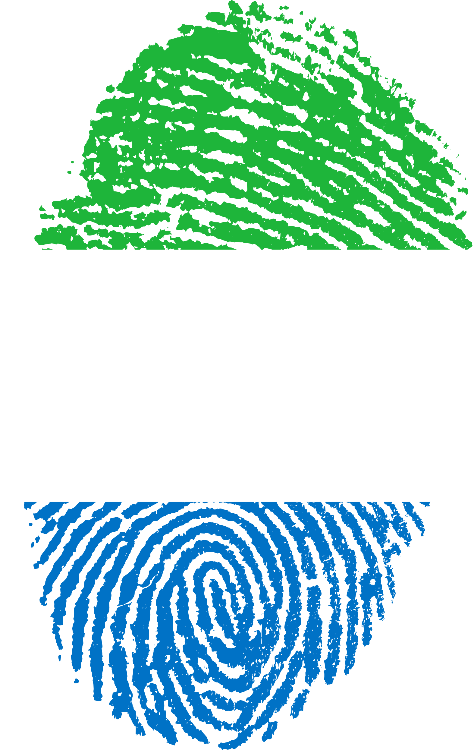 Sierra Leone Flag Background PNG