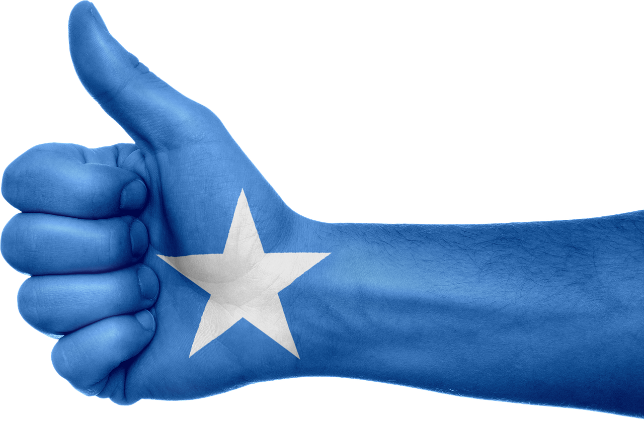 Somalia Flag Transparent Free PNG