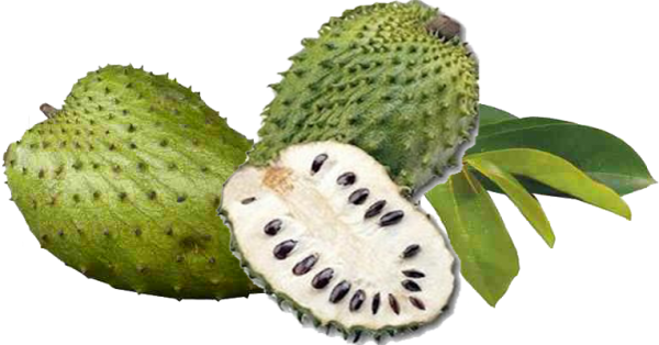 Soursop PNG Background