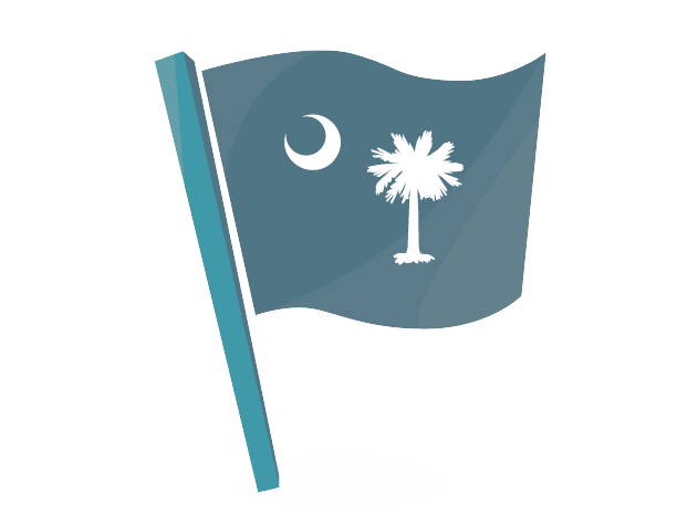 South Carolina State Flag Free PNG