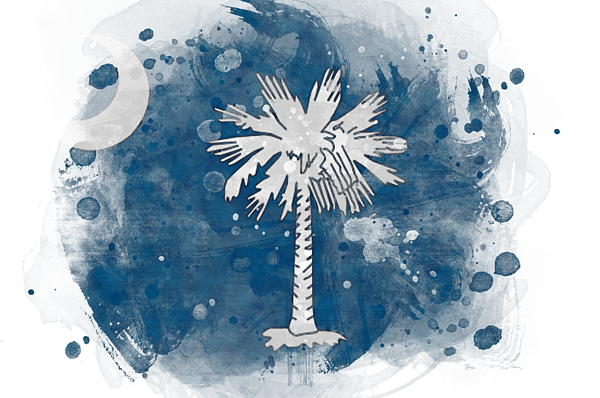 South Carolina State Flag Transparent Images