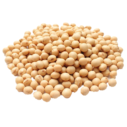 Soybeans Download Free PNG