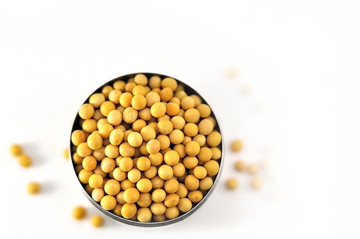 Soybeans PNG HD Quality