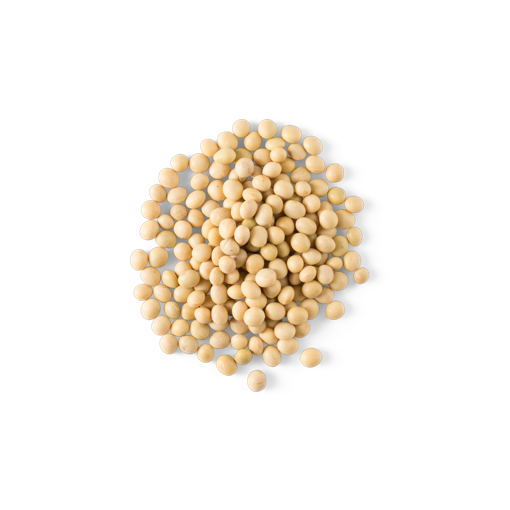 Soybeans PNG Photo Image