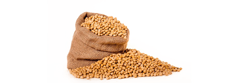 Soybeans PNG Photos