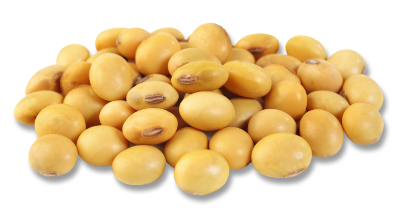 Soybeans Transparent File