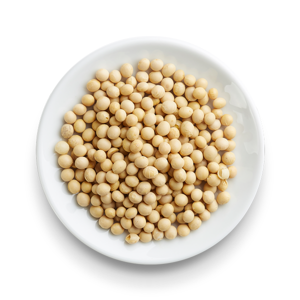 Soybeans Transparent Free PNG