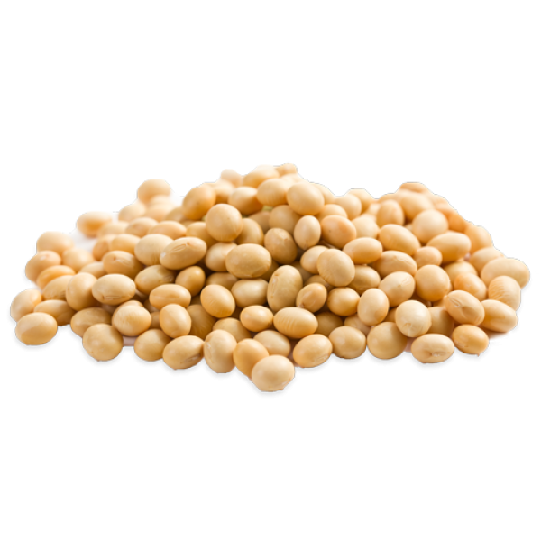 Soybeans Transparent Image