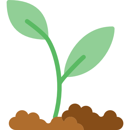 Sprout PNG HD Quality