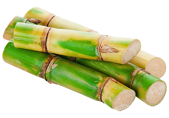 Suger Cane PNG Images HD
