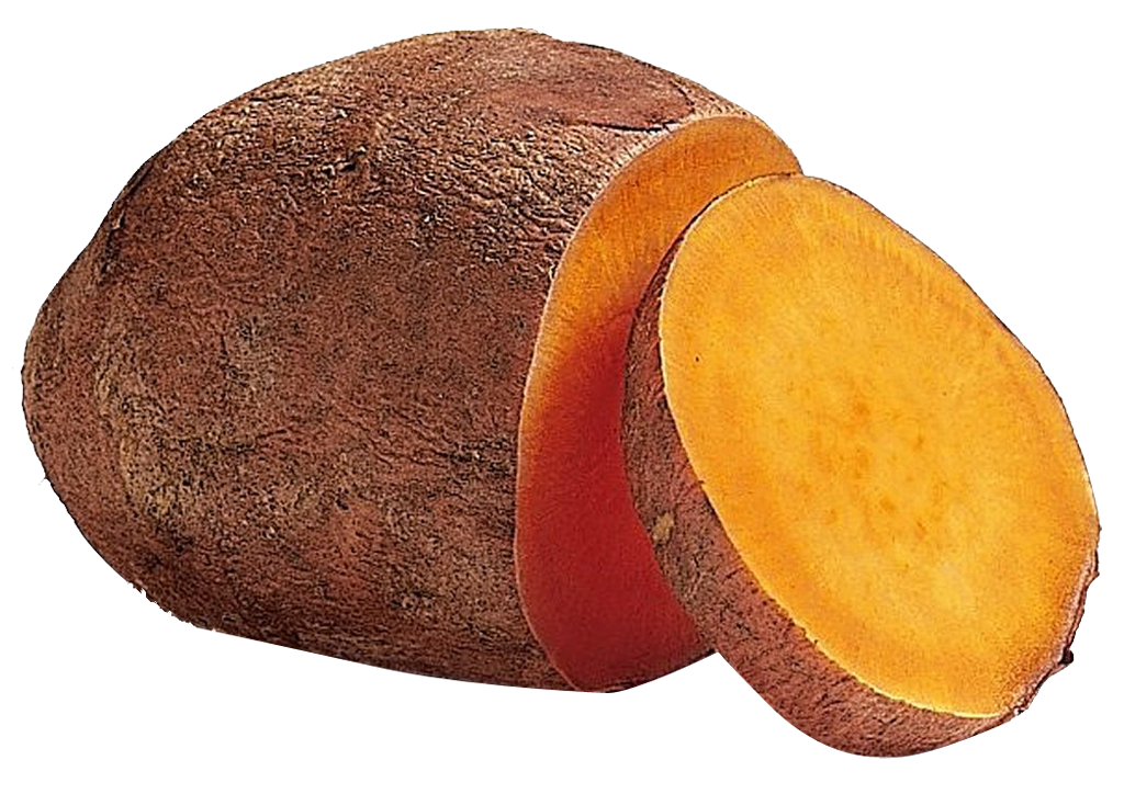 Sweet Potato PNG Free File Download