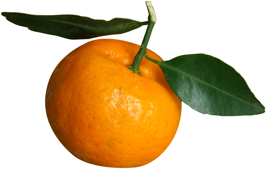 Tangerine Download Free PNG
