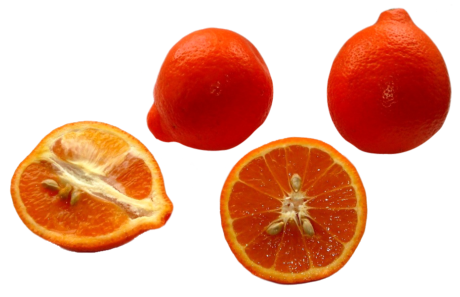 Tangerine PNG Background