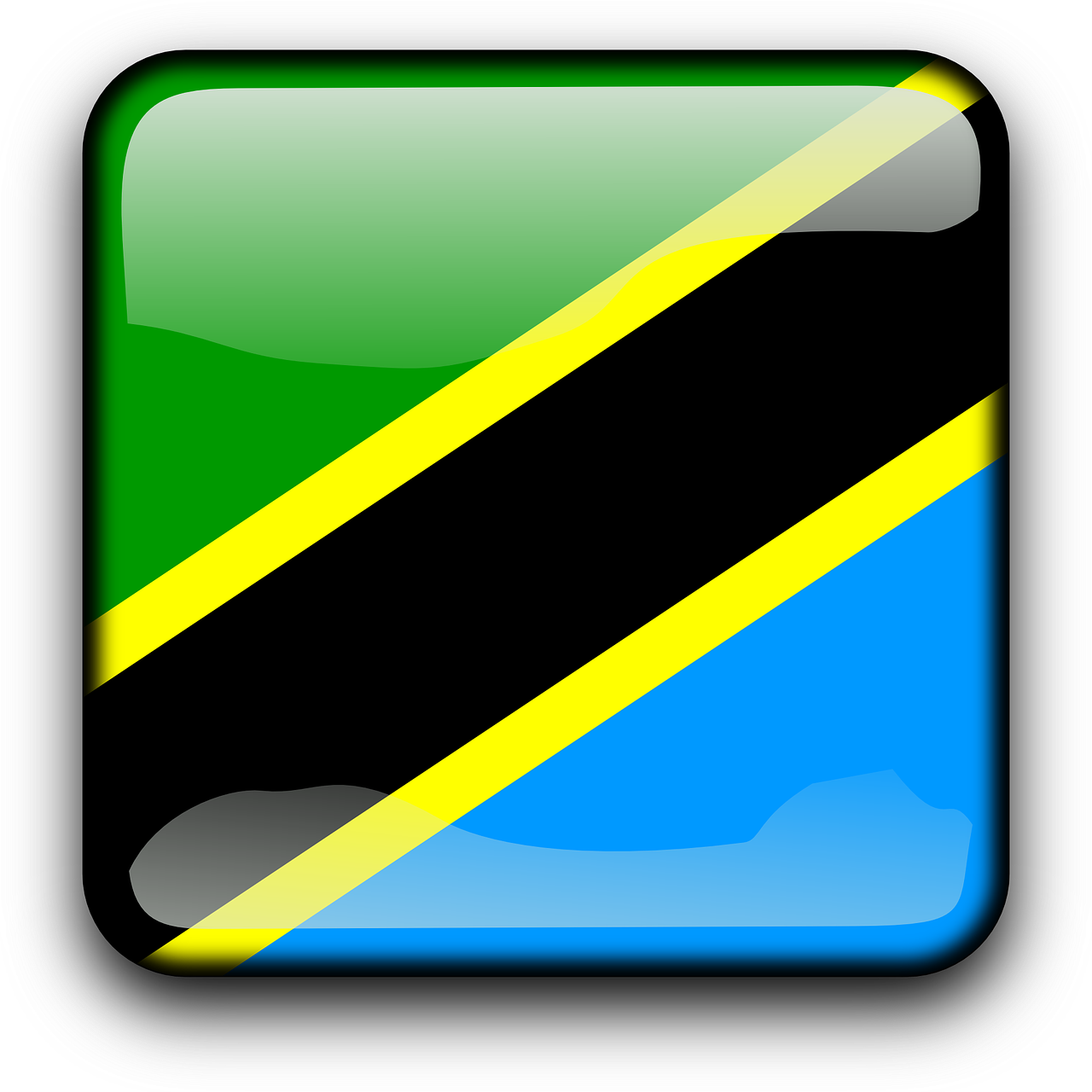 Tanzania Flag No Background