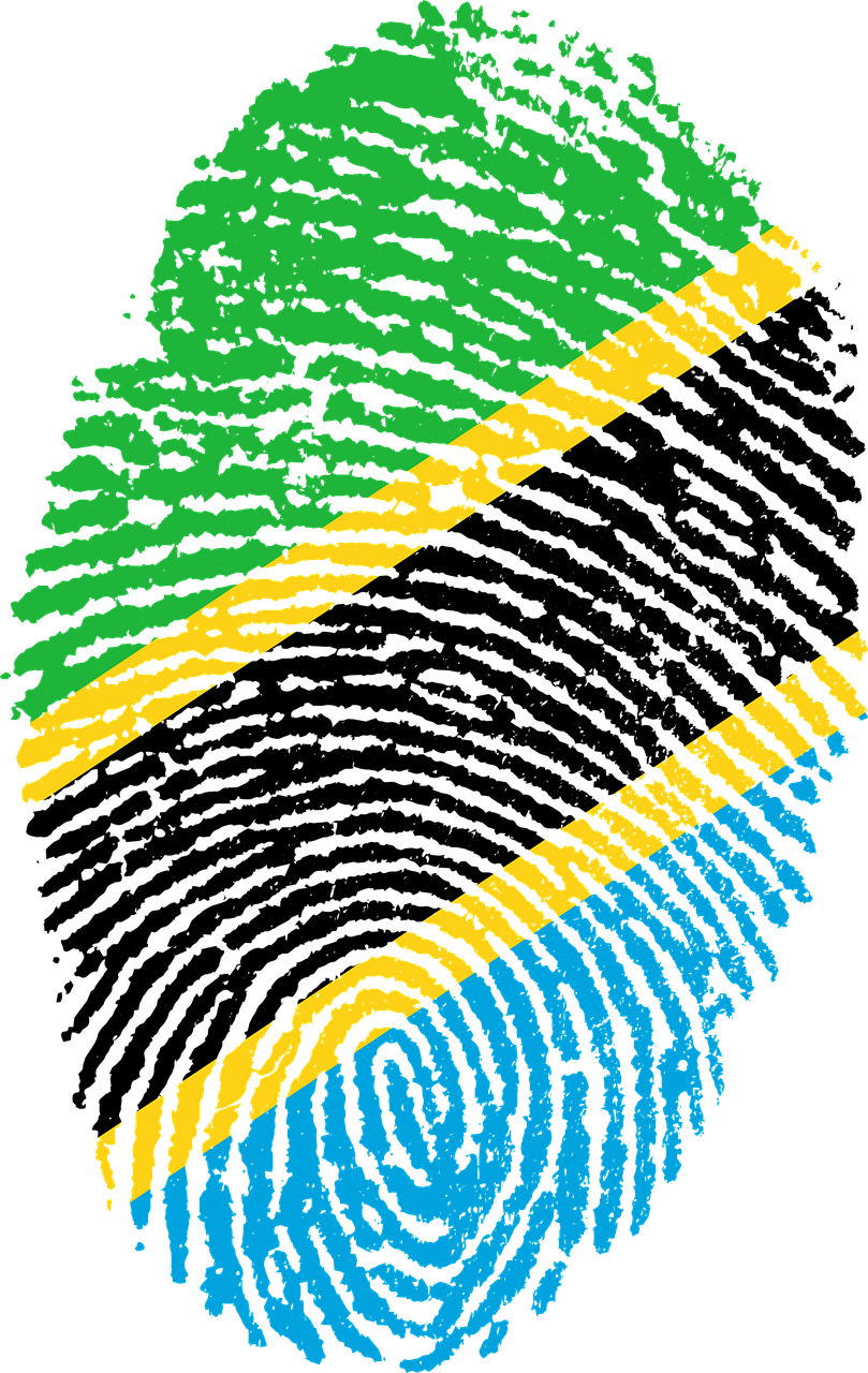 Tanzania Flag PNG Pic Background