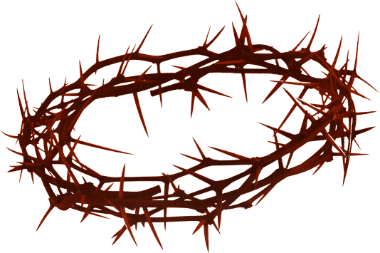 Thorn PNG Clipart Background