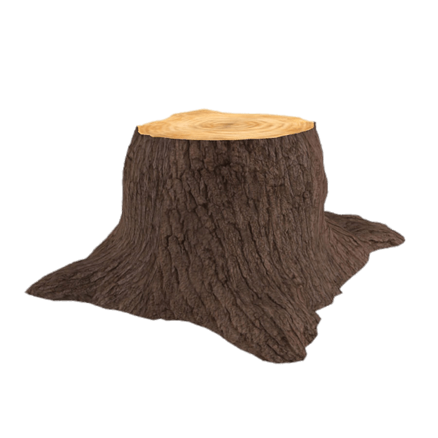 Trunk Background PNG