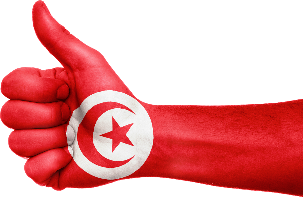 Tunisia Flag Background PNG