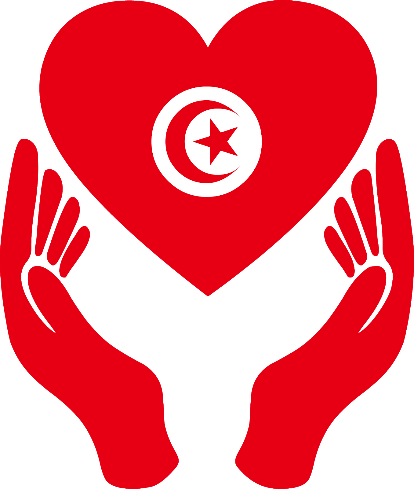 Tunisia Flag No Background