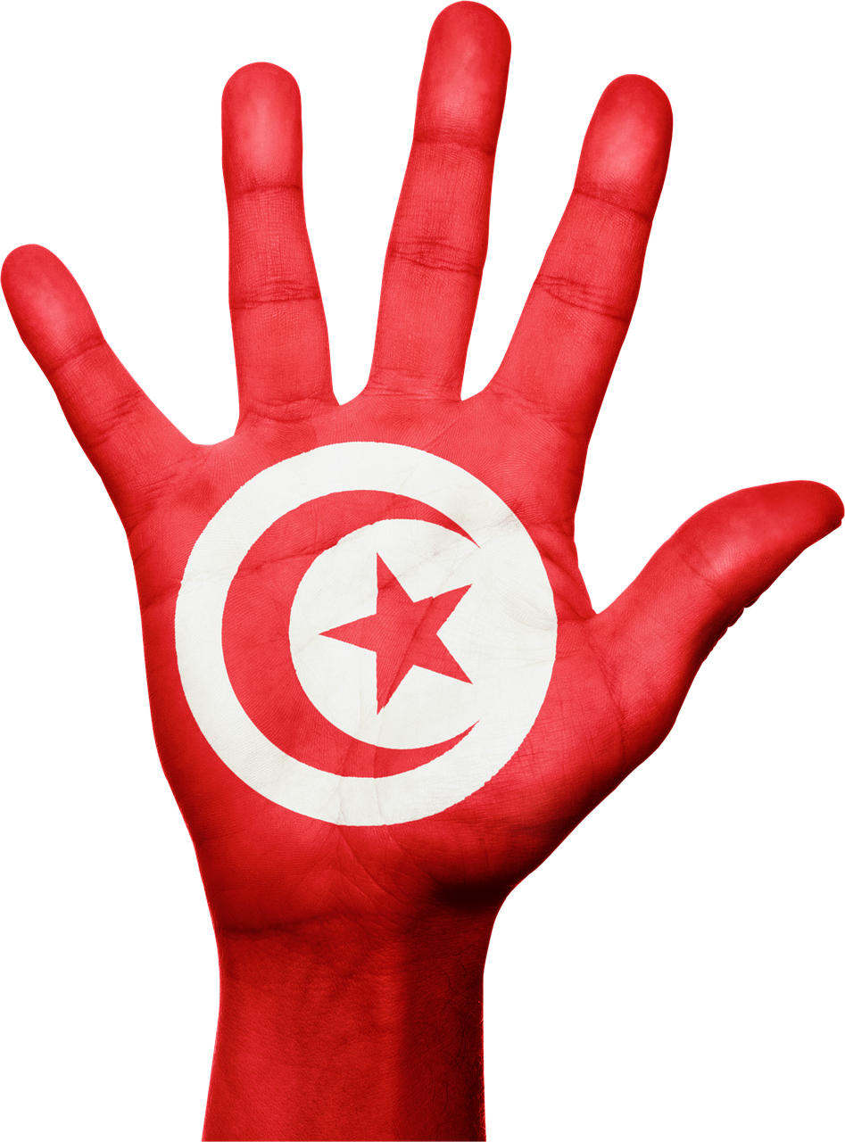 Tunisia Flag PNG Pic Background