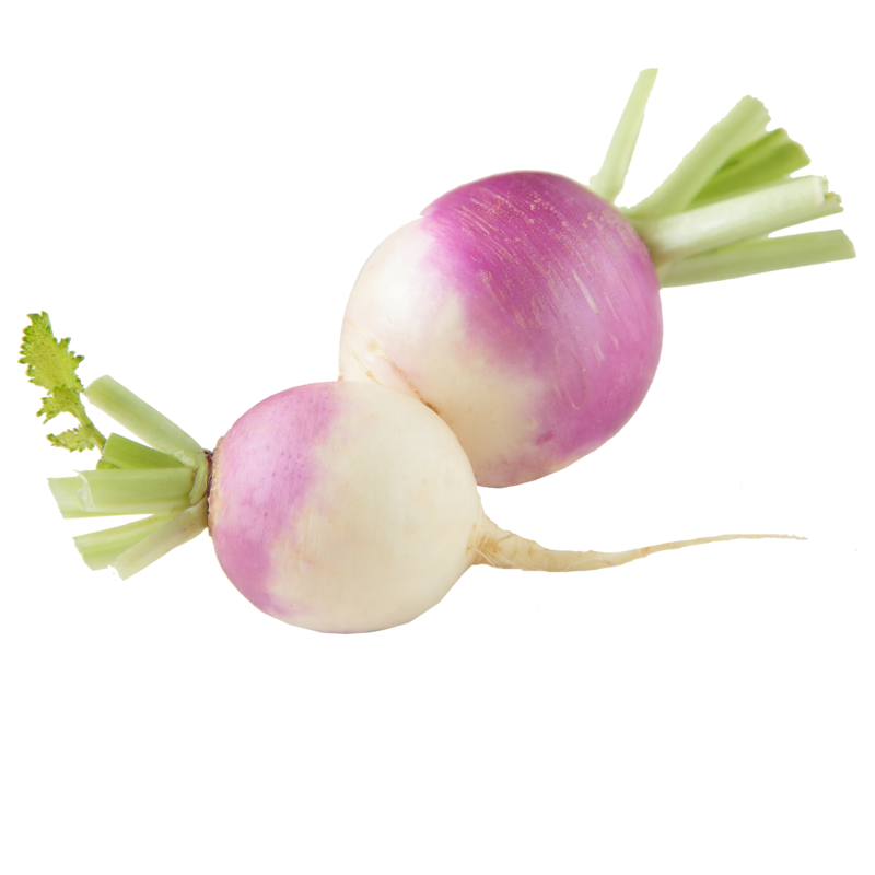 Turnip PNG Background