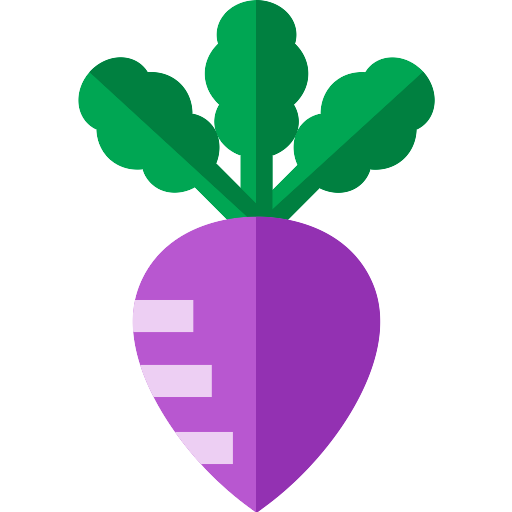 Turnip PNG Pic Background
