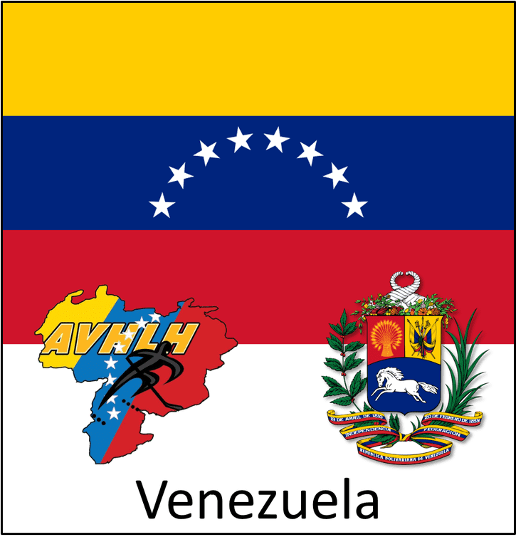 Venezuela Flag No Background