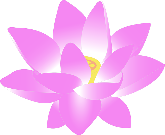 Water Lily Download Free PNG