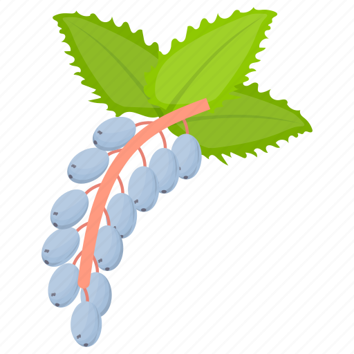 White Mulberry PNG HD Quality