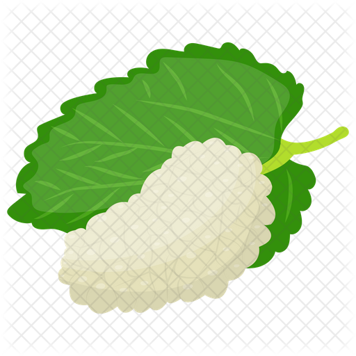 White Mulberry Transparent File