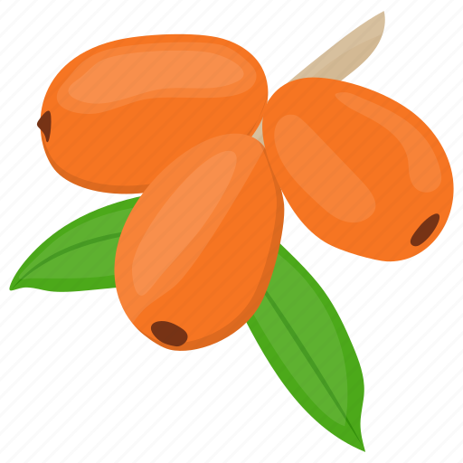 Wolfberry Transparent File