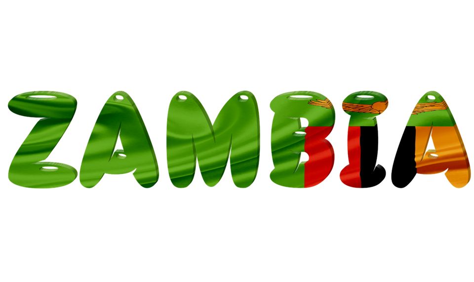 Zambia Flag Transparent PNG