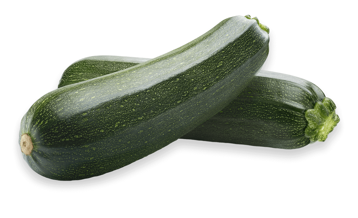 Zucchini Download Free PNG