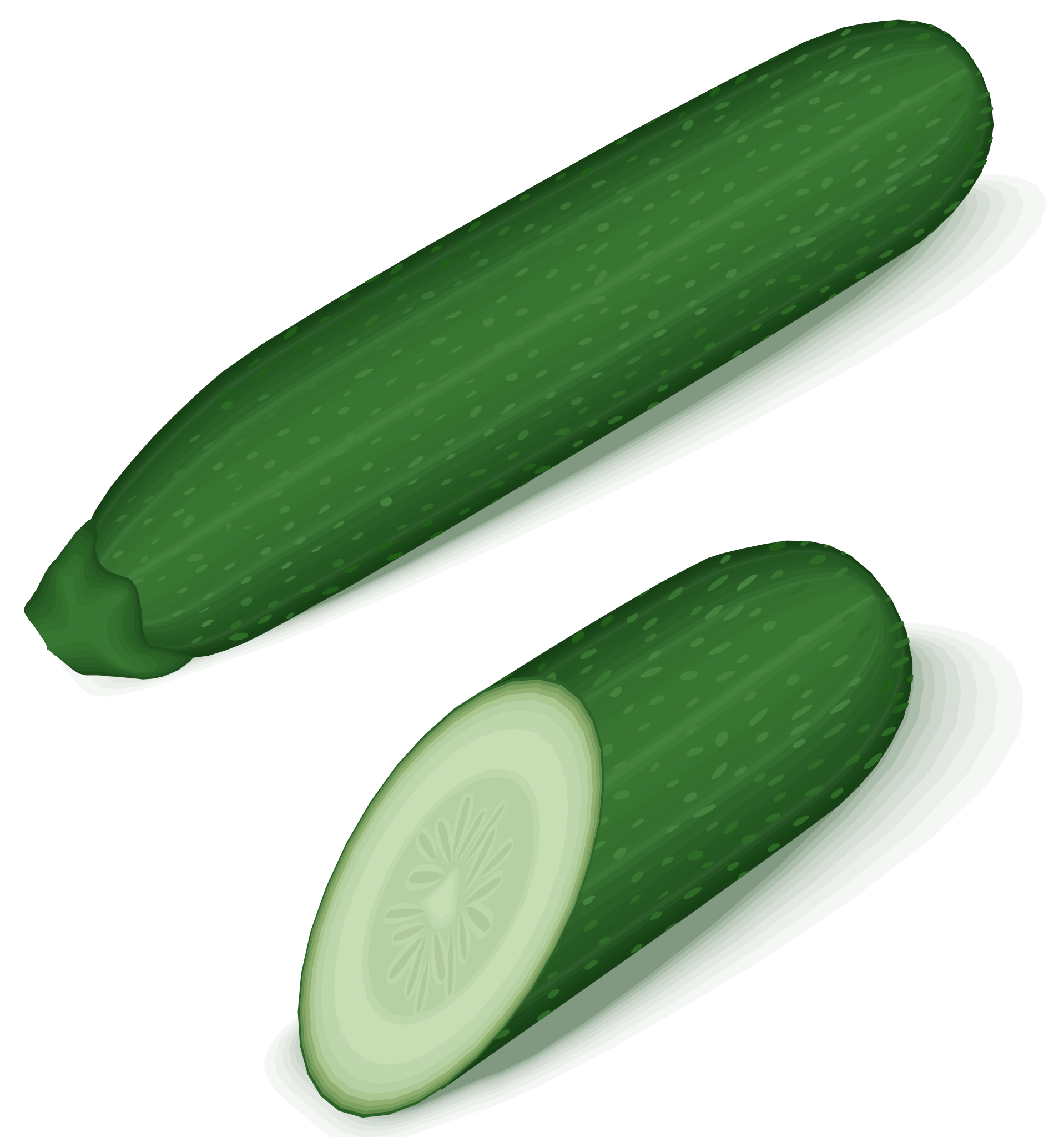 Zucchini Transparent Images