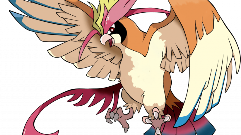 Pidgeotto Pokemon PNG HD Images