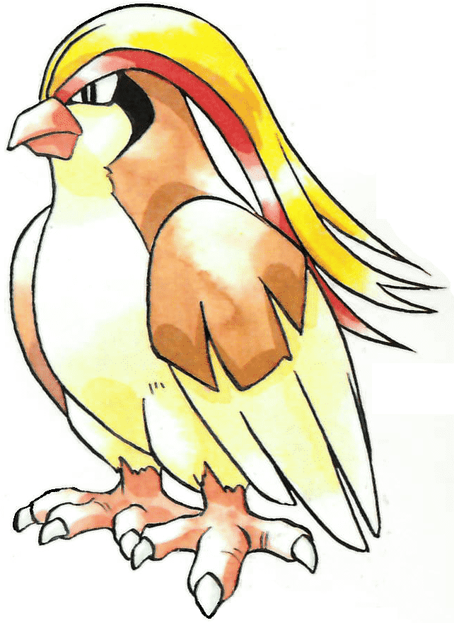 Pidgeotto Pokemon PNG Images HD