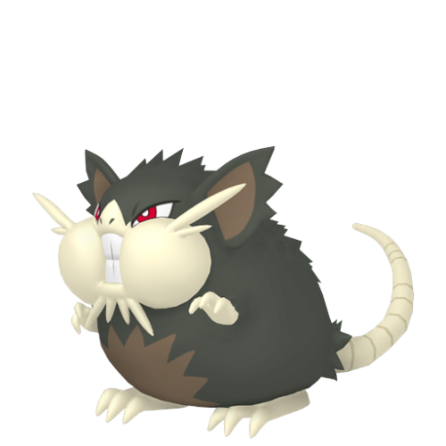 Raticate Pokemon PNG Images HD