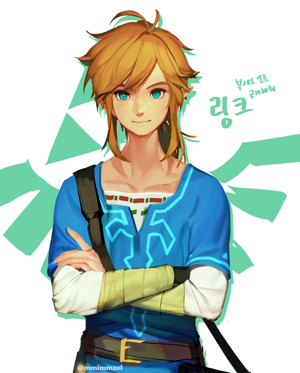 The Legend Of Zelda Breath Of The Wild PNG Photo Image