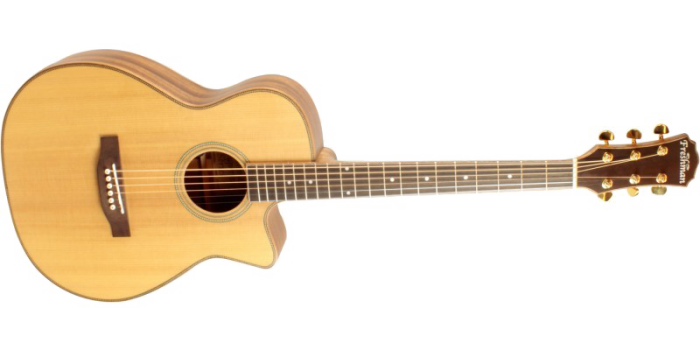 Acoustic-Electric Guitar No Background