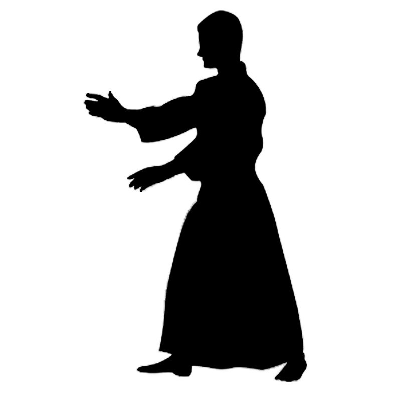 Aikido Background PNG Image