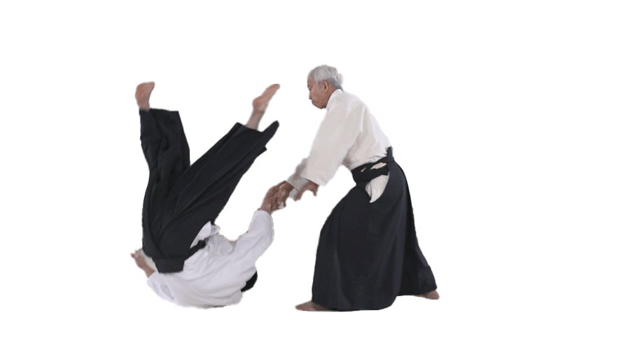 Aikido Background PNG