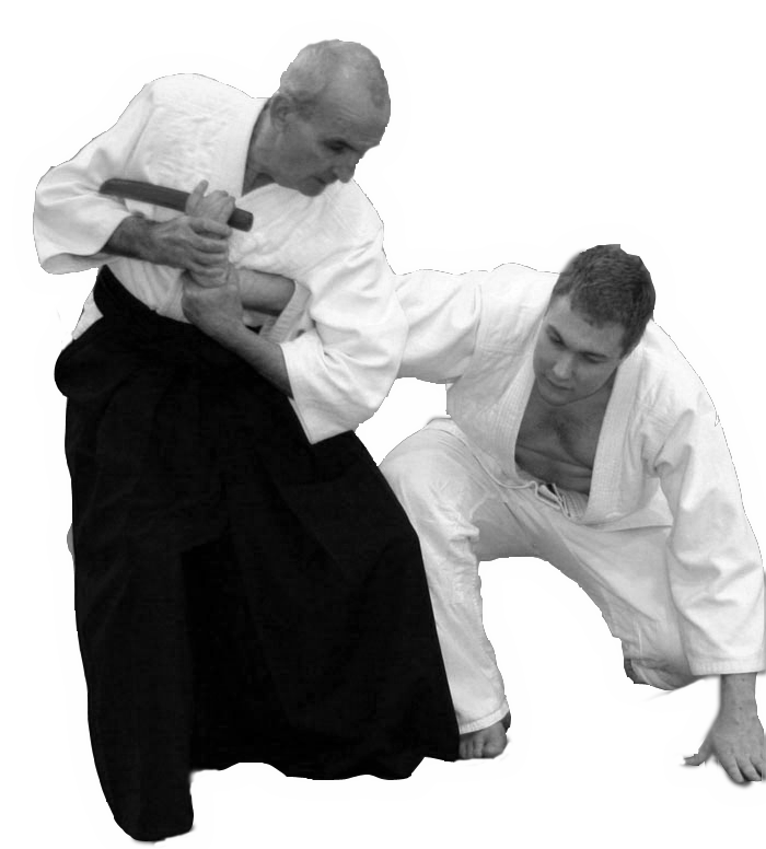 Aikido Clip Art Transparent PNG