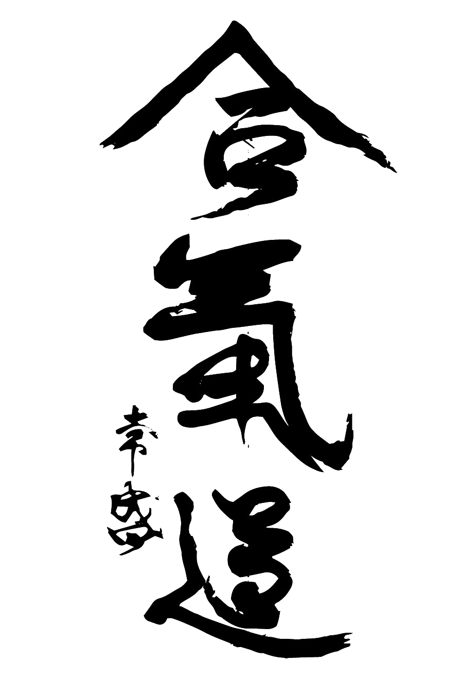 Aikido Download Free PNG