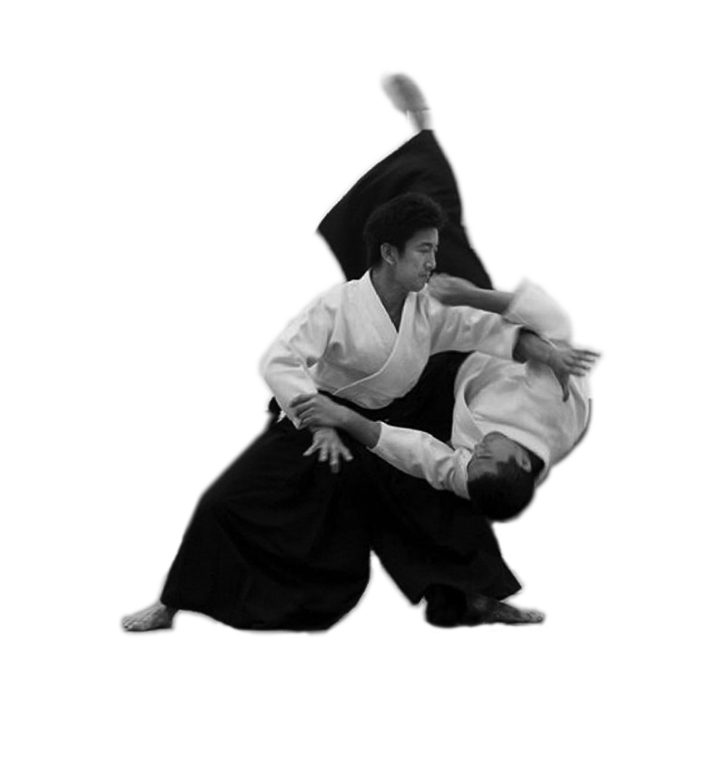 Aikido PNG HD Free File Download