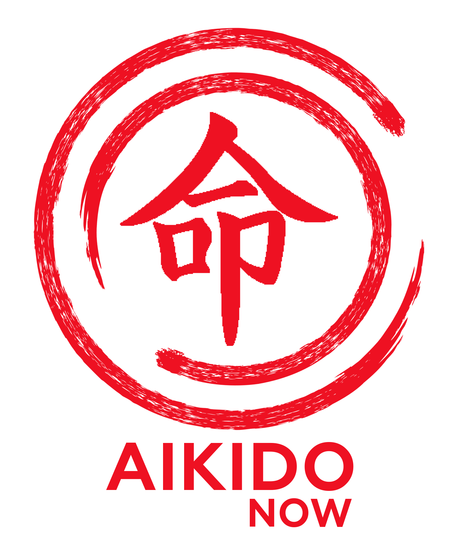 Aikido PNG HD Images