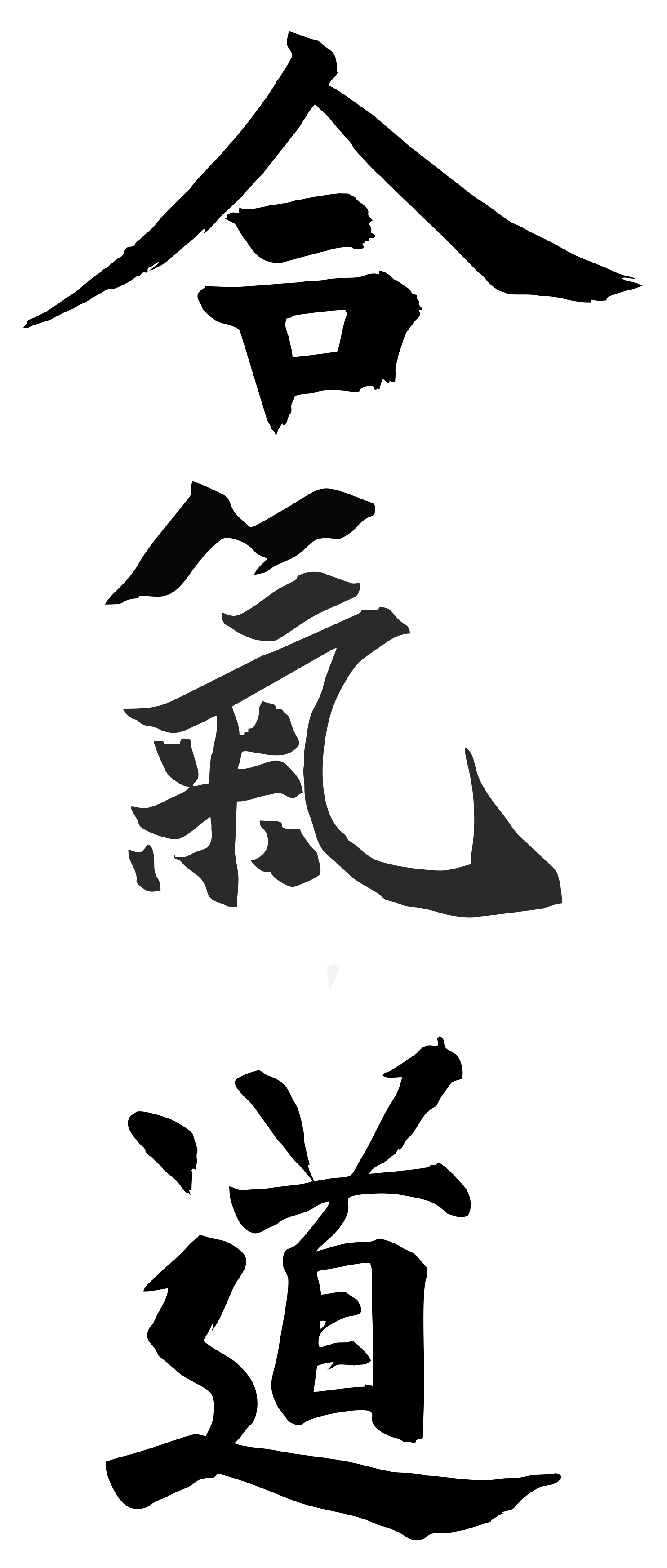 Aikido PNG Images HD