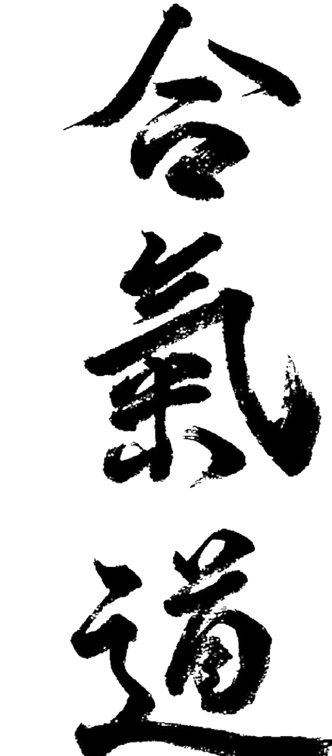 Aikido Transparent Clip Art Background