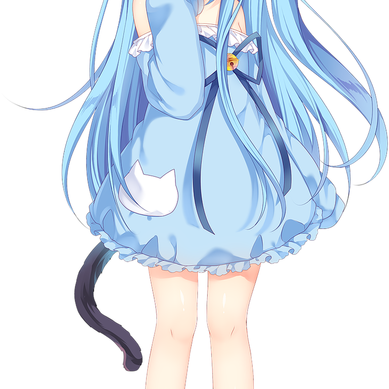 Anime Cat Girls Free Picture PNG